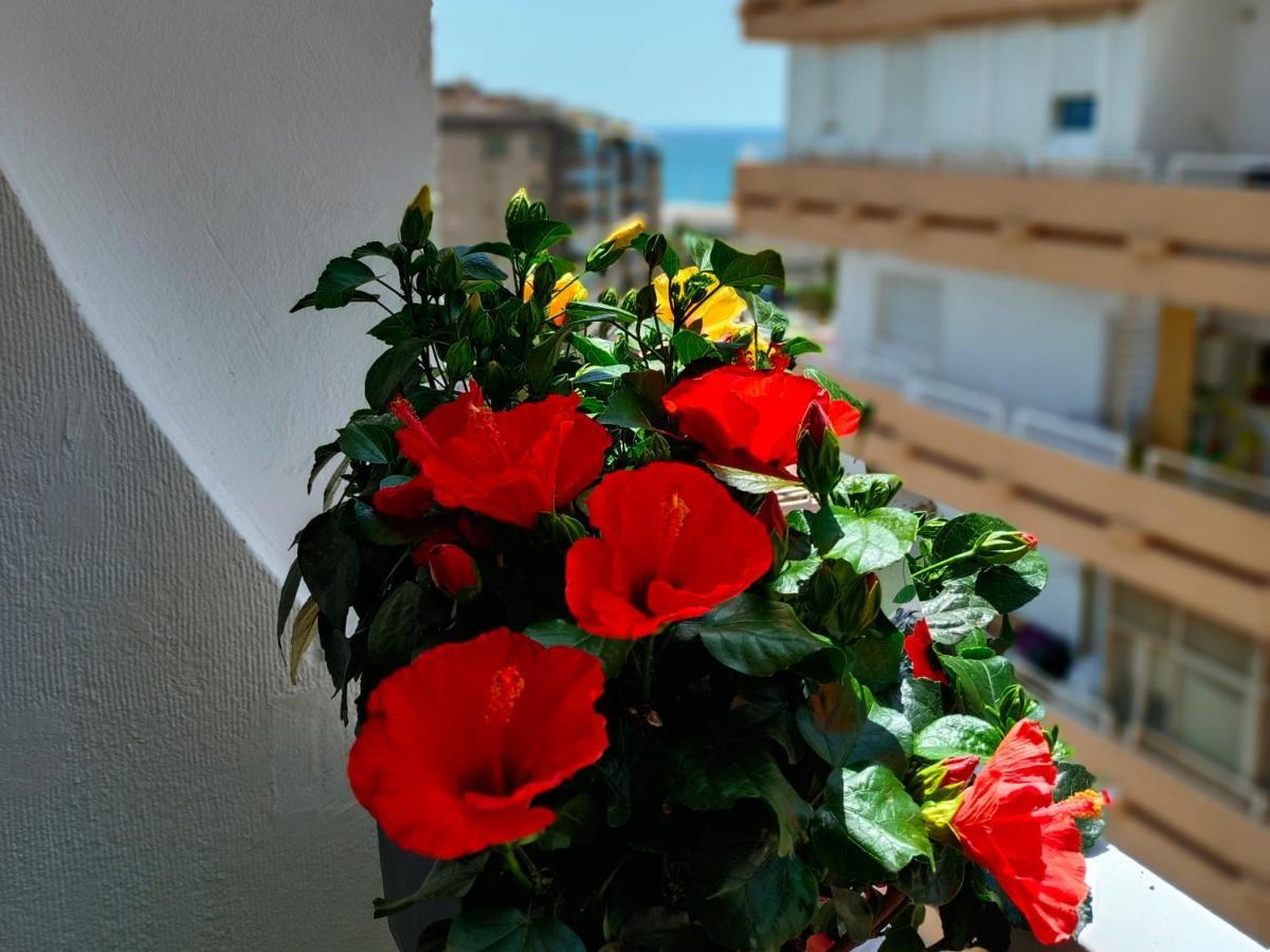 Rentaly Holidays Artes De Arcos